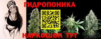 Альфа ПВП Гатчина