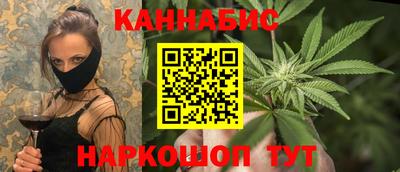 Альфа ПВП Гатчина