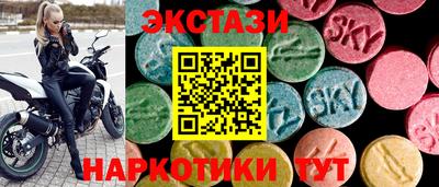 Альфа ПВП Гатчина
