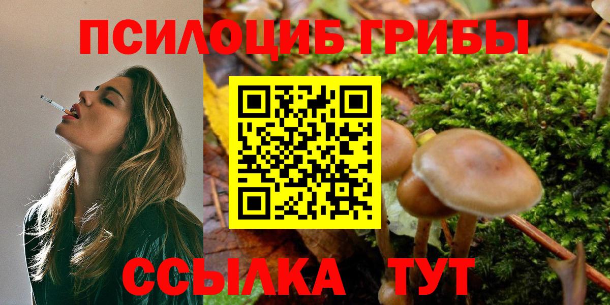 Галлюциногенные грибы MAGIC MUSHROOMS Новоуральск